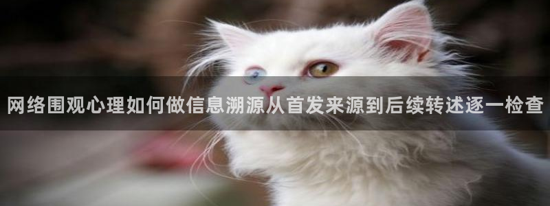 91吃瓜每日话题