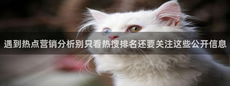 91吃瓜在线观看最新网址入口