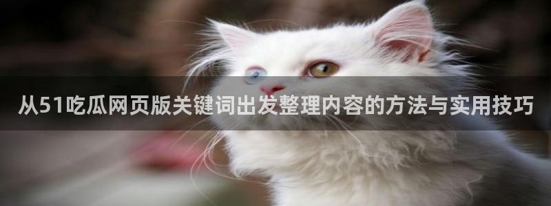 吃瓜在线观看网站