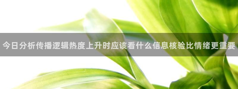 吃瓜网络资讯