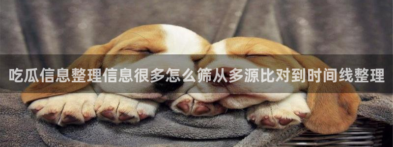 91吃瓜最新网页入口