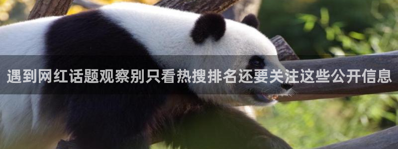 91吃瓜在线观看首页入口:遇到网红话题观察别只看热搜排名还要关注这些公开信息